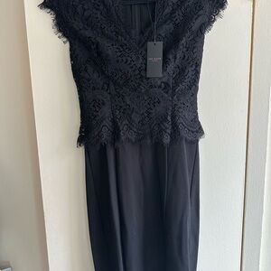 NWT Eyelash Lace Ted Baker Dress -  Size 6